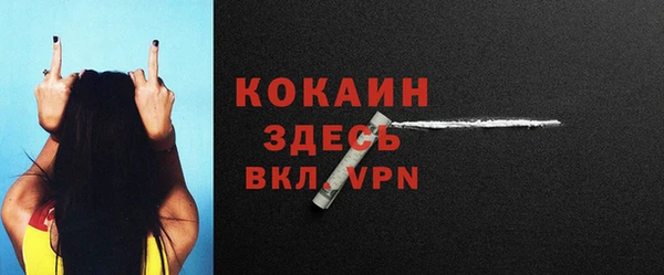 гашик Ельня