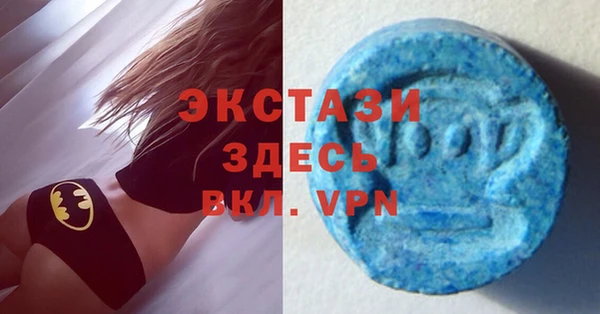 гашик Ельня