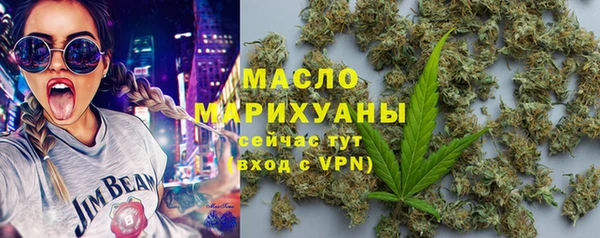 гашик Ельня