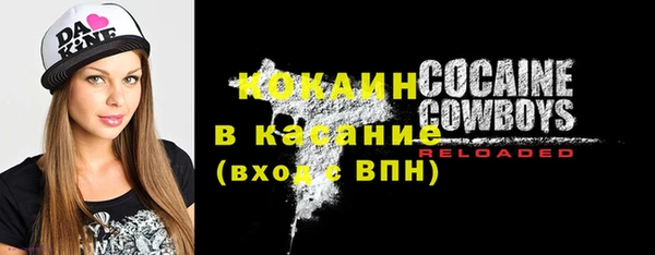 гашик Ельня