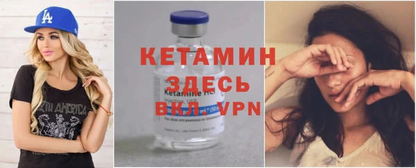 гашик Ельня