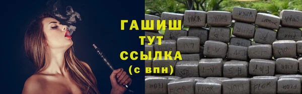 индика Фёдоровский