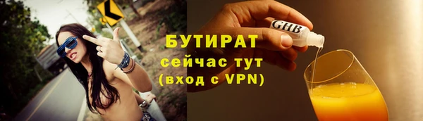 гашик Ельня