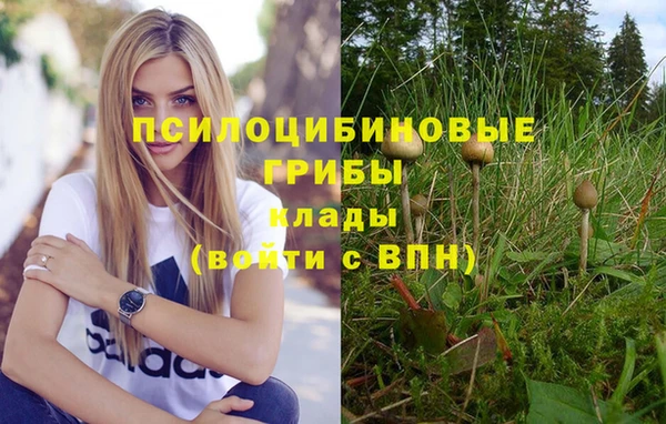 a pvp Елизово