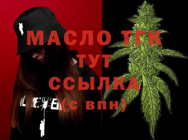 гашик Ельня