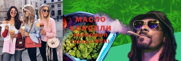 гашик Ельня