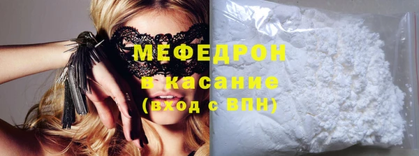 гашик Ельня
