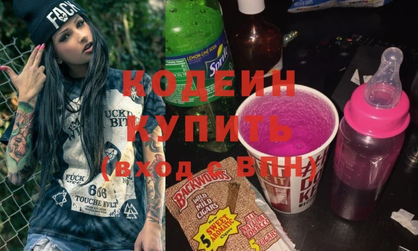 гашик Ельня