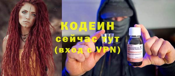 гашик Ельня