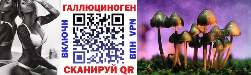 Псилоцибиновые грибы GOLDEN TEACHER  Купить  Кондопога 