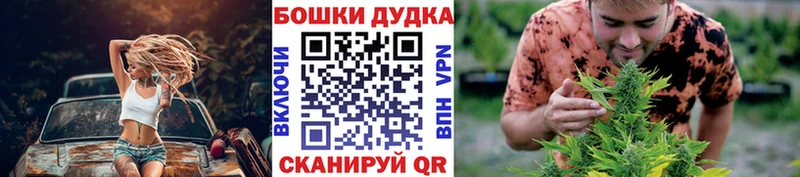 Купить закладки  Кондопога  Бошки Шишки гибрид 